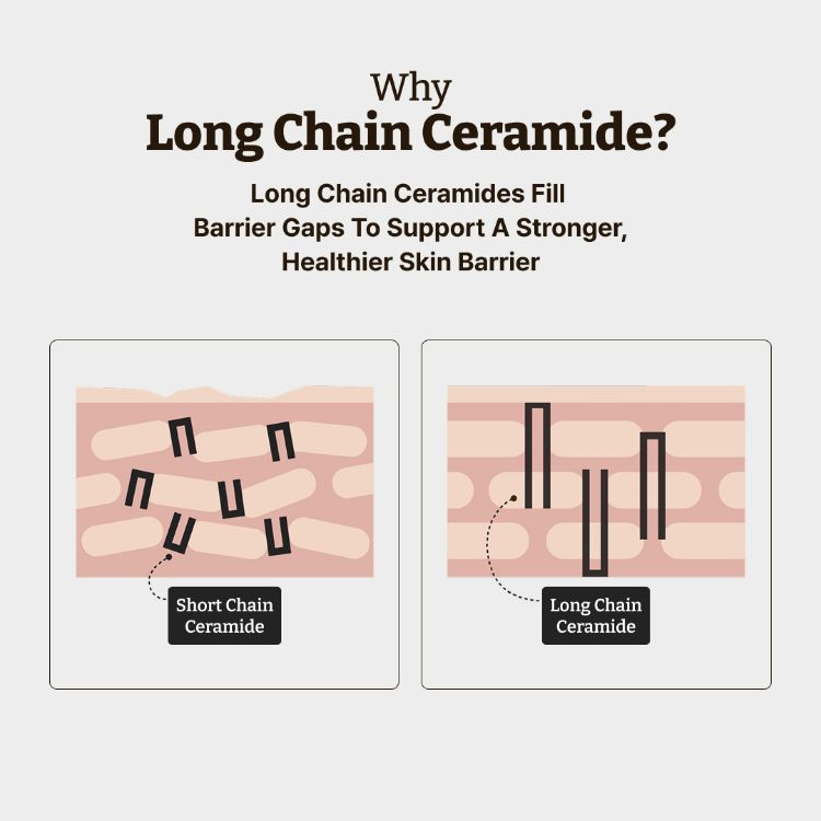 Picture of Dr.Reju-All Advanced LC-Ceramide Barrier Cream 50ml